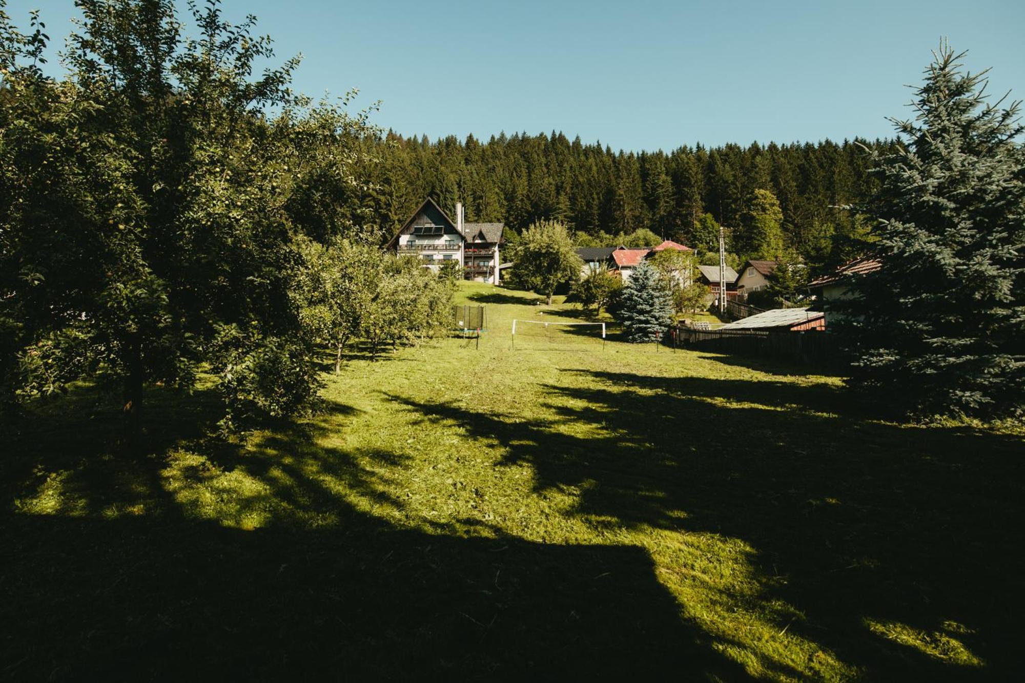 Bucovina Lodge Pension Vama  Bagian luar foto