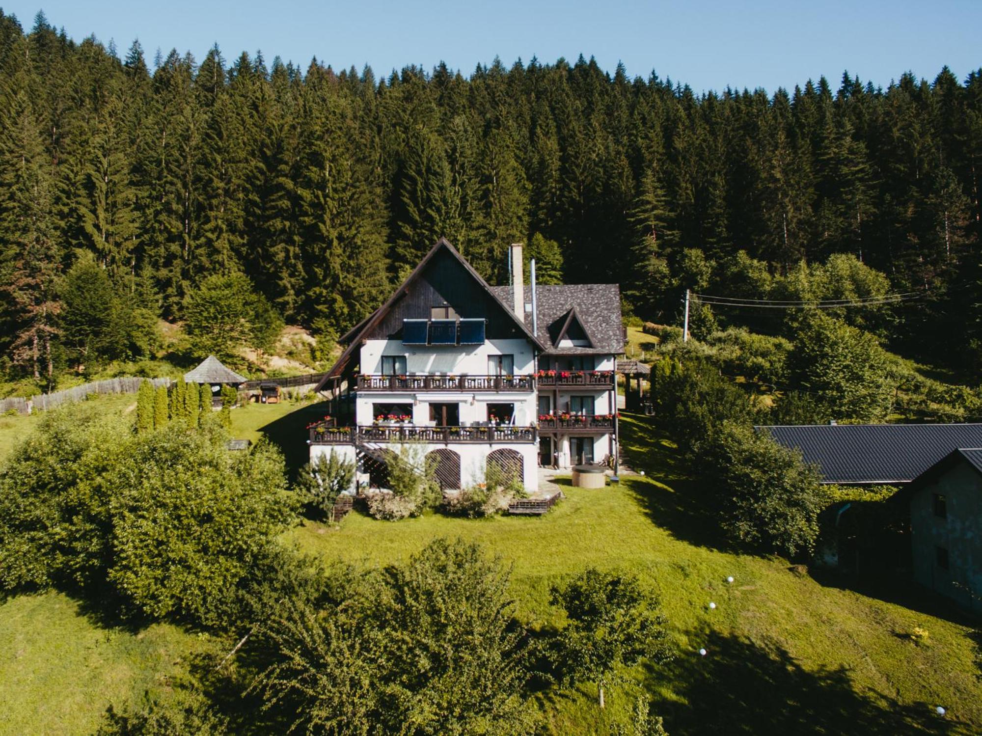 Bucovina Lodge Pension Vama  Bagian luar foto